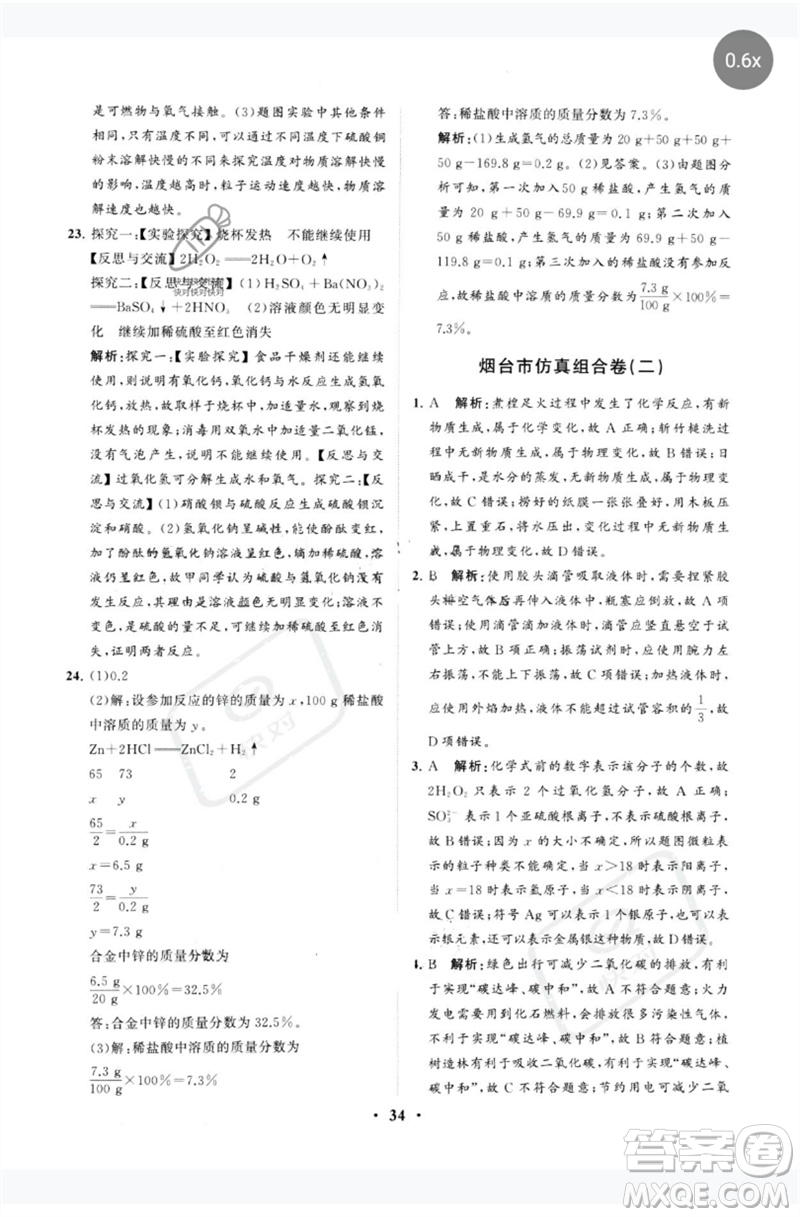 山東教育出版社2023初中總復(fù)習(xí)手冊分層專題卷九年級化學(xué)五四制通用版煙臺專版參考答案