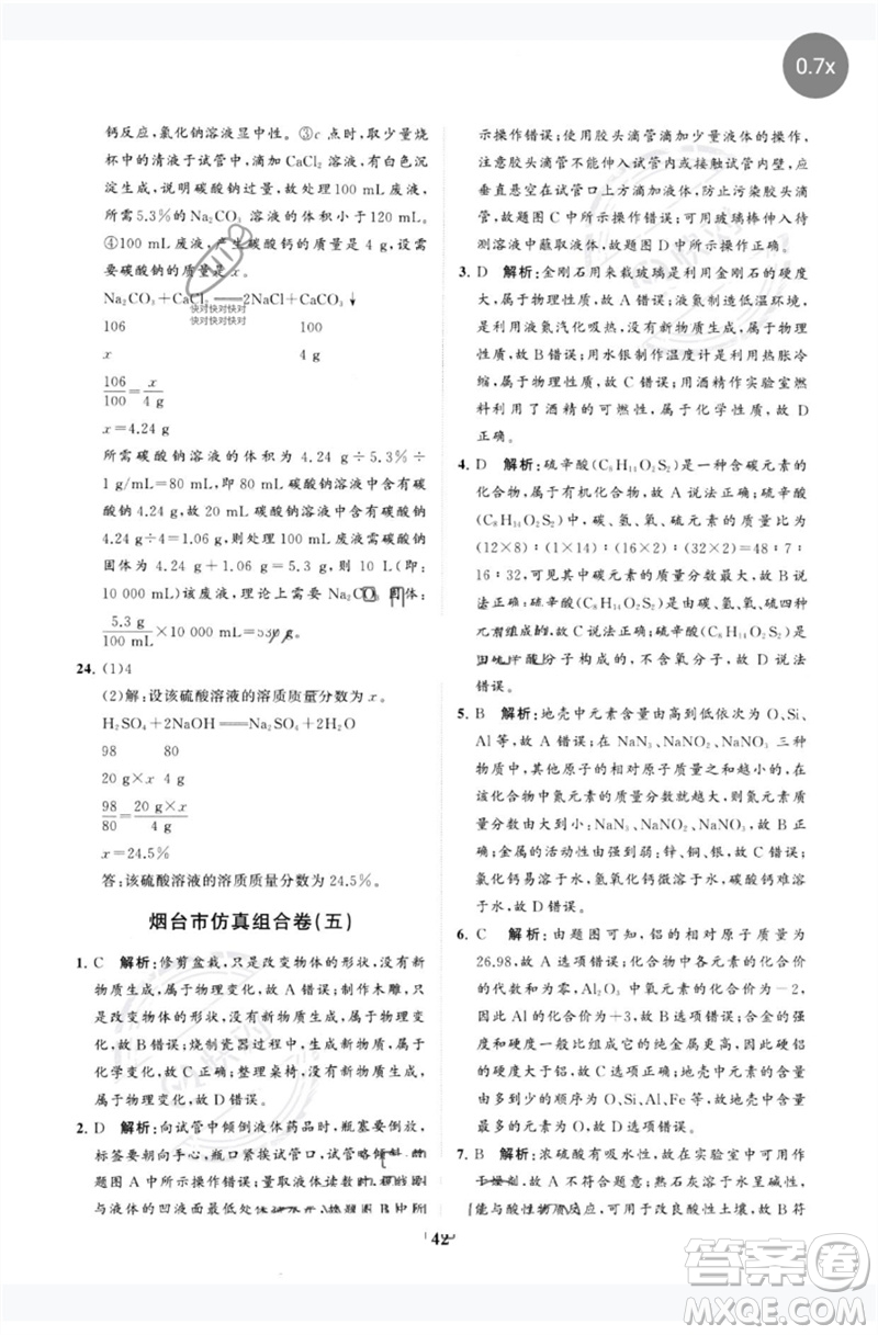 山東教育出版社2023初中總復(fù)習(xí)手冊分層專題卷九年級化學(xué)五四制通用版煙臺專版參考答案