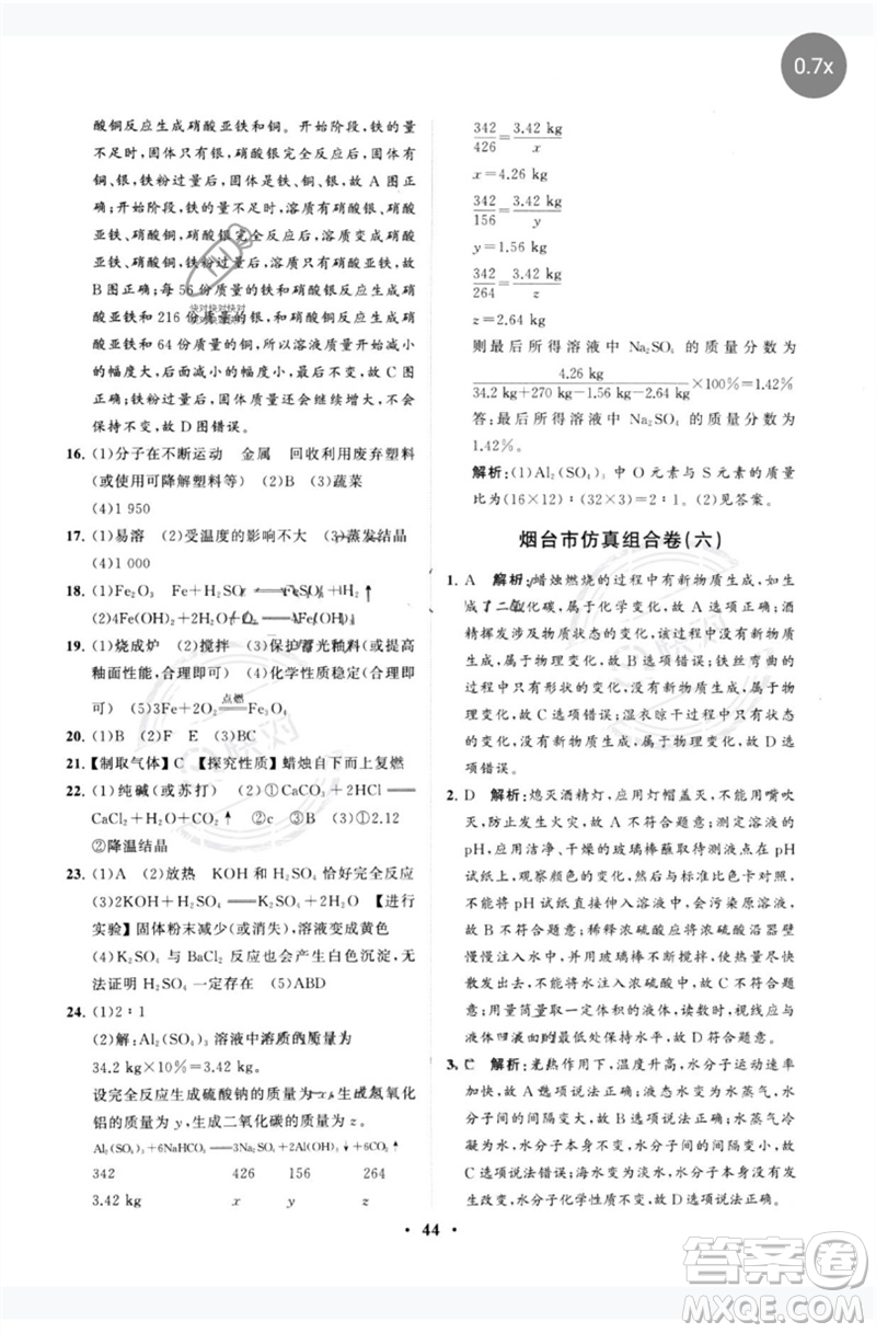 山東教育出版社2023初中總復(fù)習(xí)手冊分層專題卷九年級化學(xué)五四制通用版煙臺專版參考答案