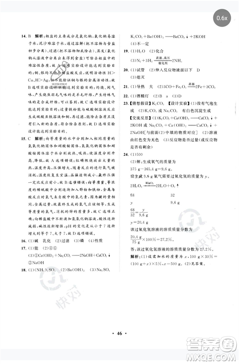 山東教育出版社2023初中總復(fù)習(xí)手冊分層專題卷九年級化學(xué)五四制通用版煙臺專版參考答案