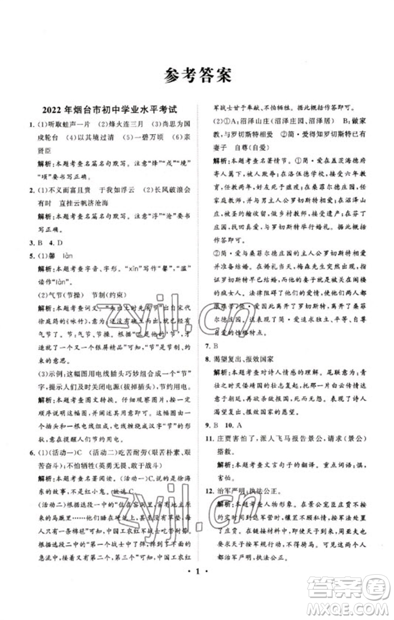 山東教育出版社2023初中總復(fù)習(xí)手冊(cè)分層專題卷九年級(jí)語(yǔ)文五四制通用版煙臺(tái)專版參考答案