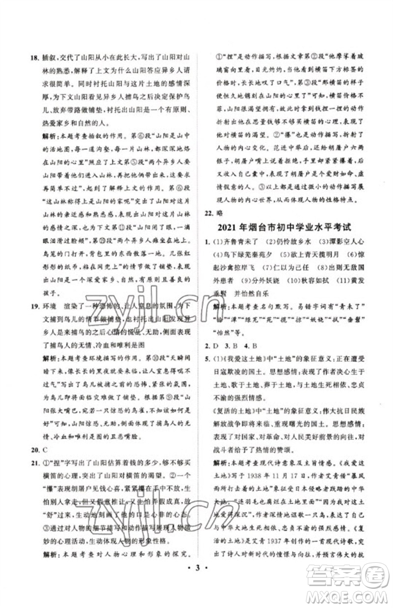 山東教育出版社2023初中總復(fù)習(xí)手冊(cè)分層專題卷九年級(jí)語(yǔ)文五四制通用版煙臺(tái)專版參考答案