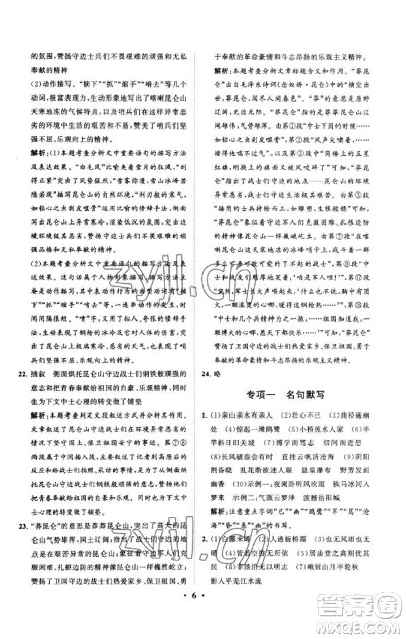 山東教育出版社2023初中總復(fù)習(xí)手冊(cè)分層專題卷九年級(jí)語(yǔ)文五四制通用版煙臺(tái)專版參考答案