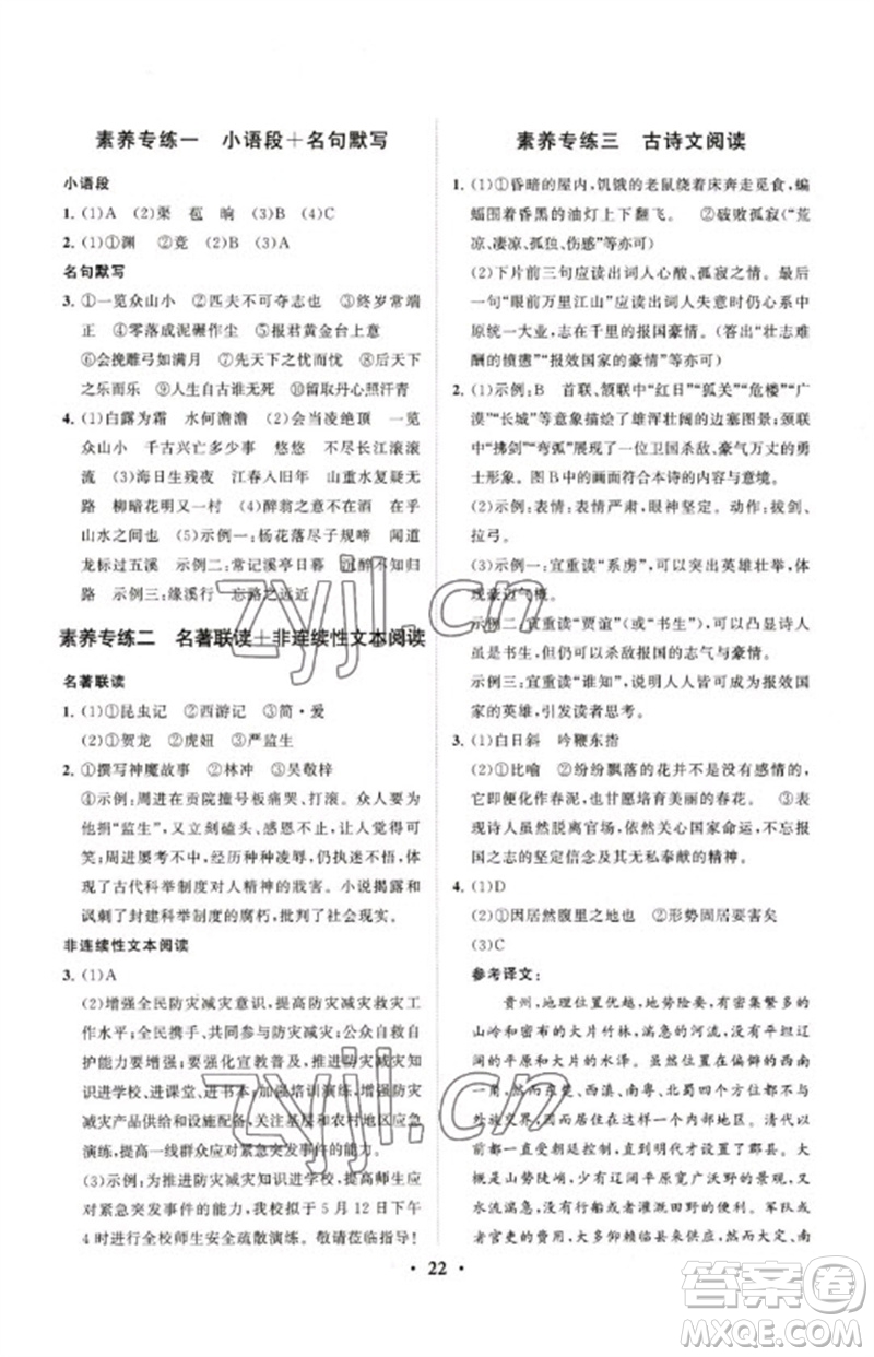 山東教育出版社2023初中總復(fù)習(xí)手冊(cè)分層專題卷九年級(jí)語(yǔ)文五四制通用版煙臺(tái)專版參考答案