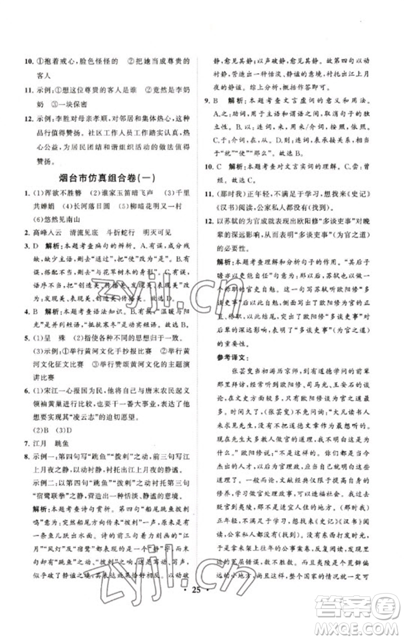 山東教育出版社2023初中總復(fù)習(xí)手冊(cè)分層專題卷九年級(jí)語(yǔ)文五四制通用版煙臺(tái)專版參考答案