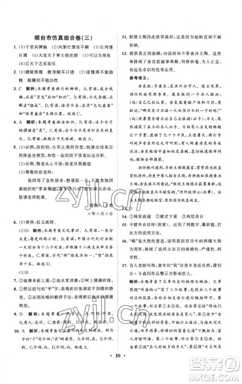 山東教育出版社2023初中總復(fù)習(xí)手冊(cè)分層專題卷九年級(jí)語(yǔ)文五四制通用版煙臺(tái)專版參考答案