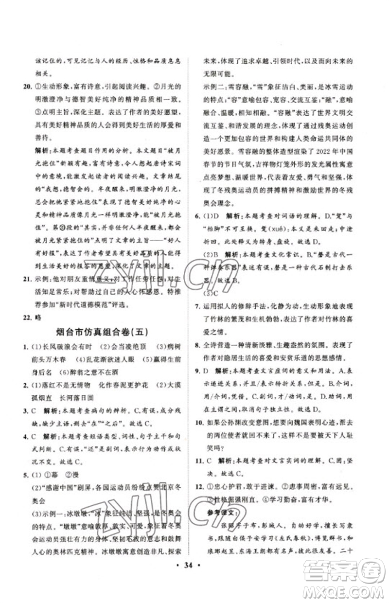 山東教育出版社2023初中總復(fù)習(xí)手冊(cè)分層專題卷九年級(jí)語(yǔ)文五四制通用版煙臺(tái)專版參考答案