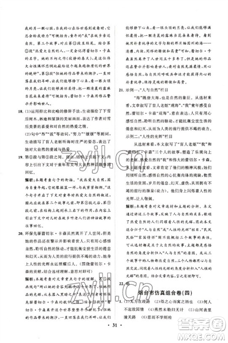山東教育出版社2023初中總復(fù)習(xí)手冊(cè)分層專題卷九年級(jí)語(yǔ)文五四制通用版煙臺(tái)專版參考答案