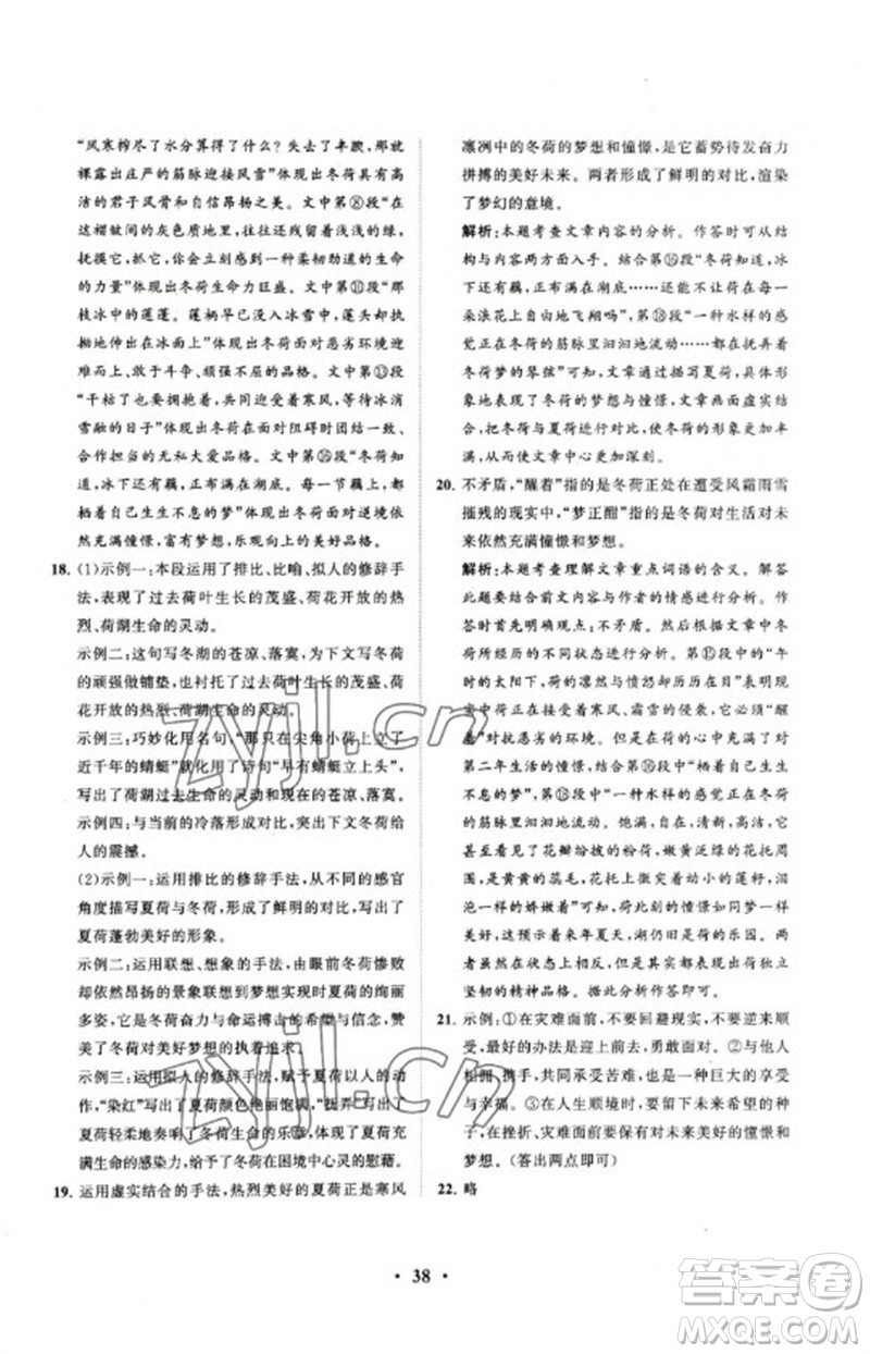山東教育出版社2023初中總復(fù)習(xí)手冊(cè)分層專題卷九年級(jí)語(yǔ)文五四制通用版煙臺(tái)專版參考答案