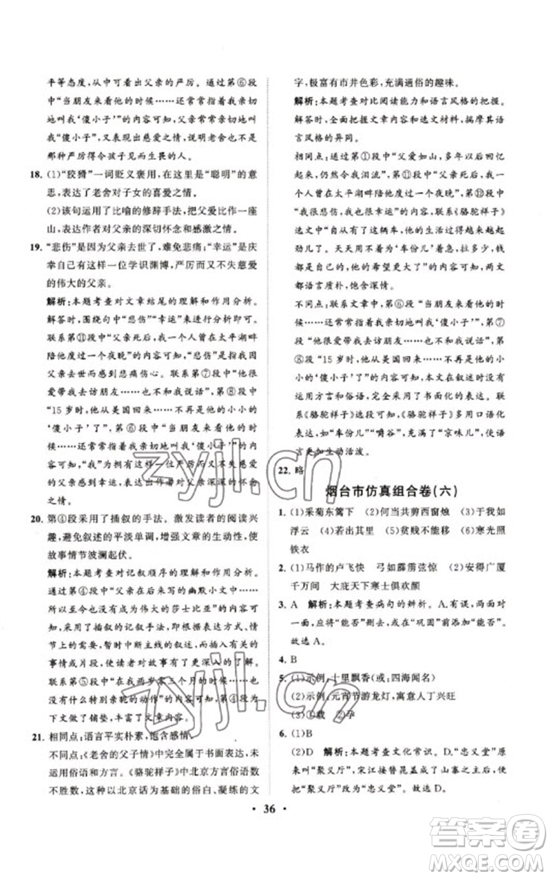 山東教育出版社2023初中總復(fù)習(xí)手冊(cè)分層專題卷九年級(jí)語(yǔ)文五四制通用版煙臺(tái)專版參考答案