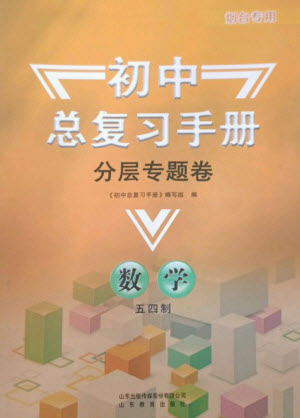山東教育出版社2023初中總復(fù)習(xí)手冊分層專題卷九年級數(shù)學(xué)五四制通用版煙臺專版參考答案