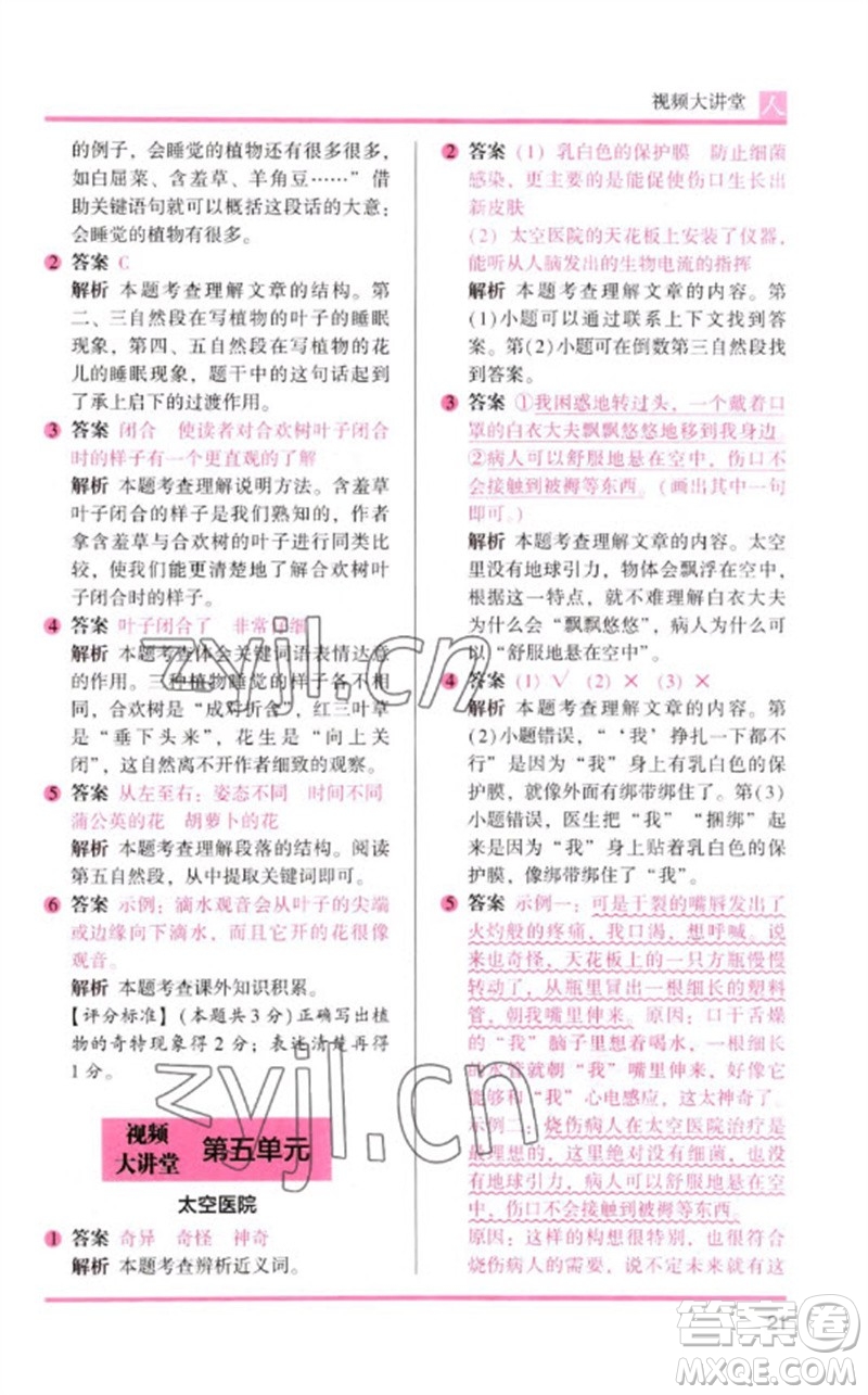 湖南師范大學(xué)出版社2023木頭馬閱讀力測評三年級語文人教版B版參考答案