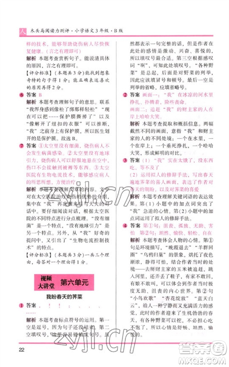 湖南師范大學(xué)出版社2023木頭馬閱讀力測評三年級語文人教版B版參考答案