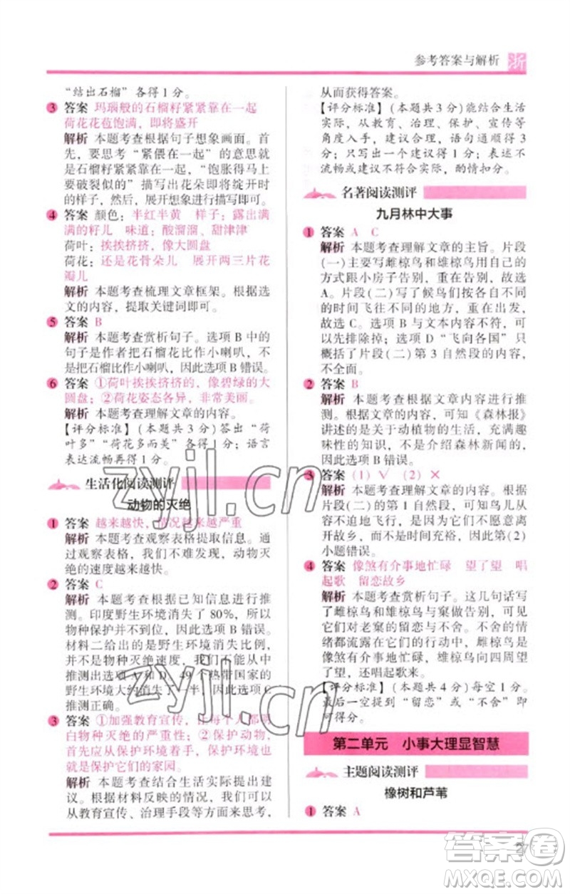 江蘇鳳凰文藝出版社2023木頭馬閱讀力測評(píng)三年級(jí)語文下冊(cè)人教版浙江專版B版參考答案