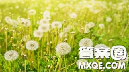天行健君子以自強不息材料作文800字 關(guān)于天行健君子以自強不息的材料作文800字