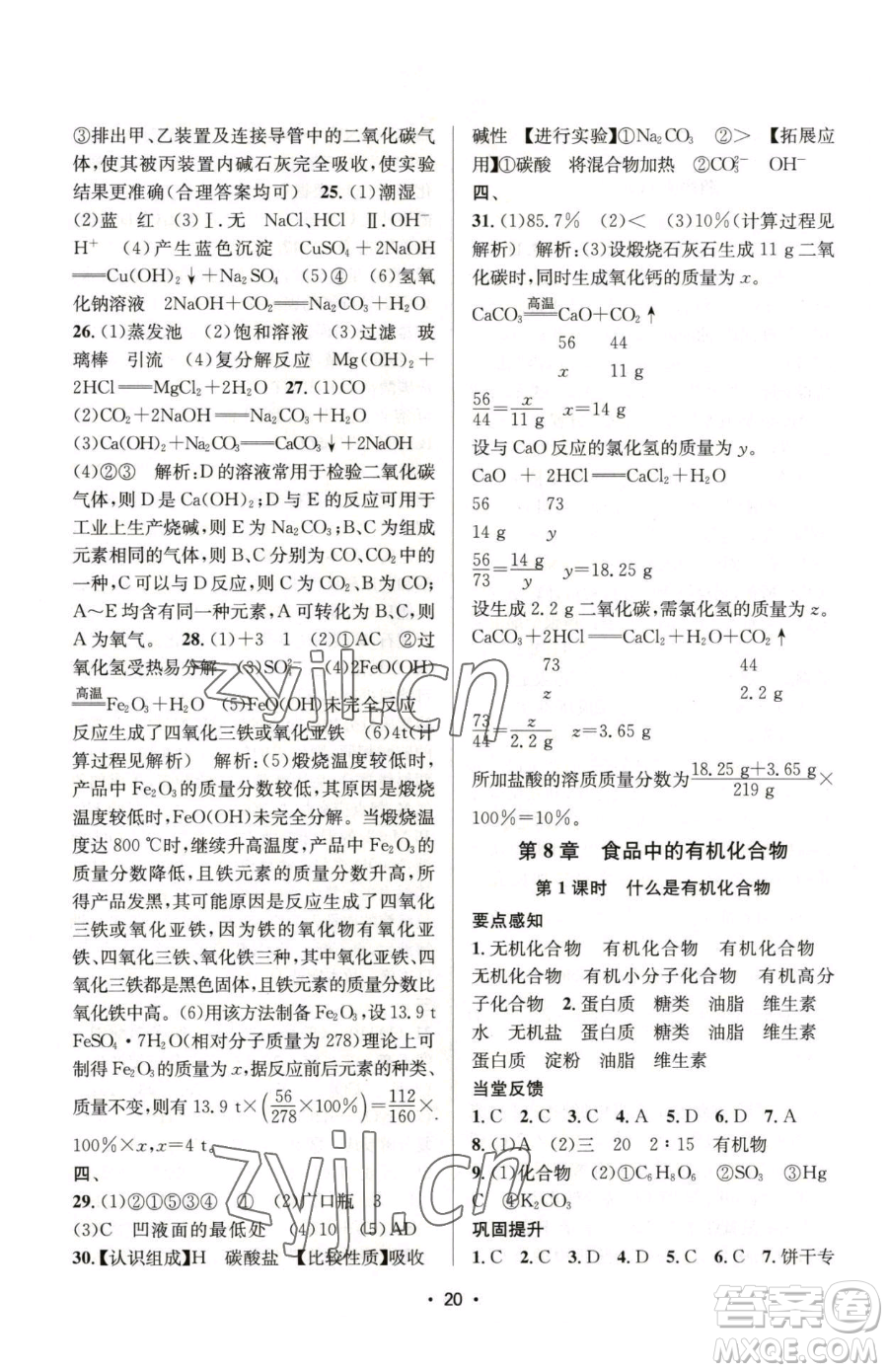 江蘇鳳凰美術出版社2023創(chuàng)新課時作業(yè)本九年級下冊化學上教版參考答案