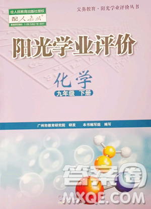 廣州出版社2023陽光學業(yè)評價九年級下冊化學人教版參考答案