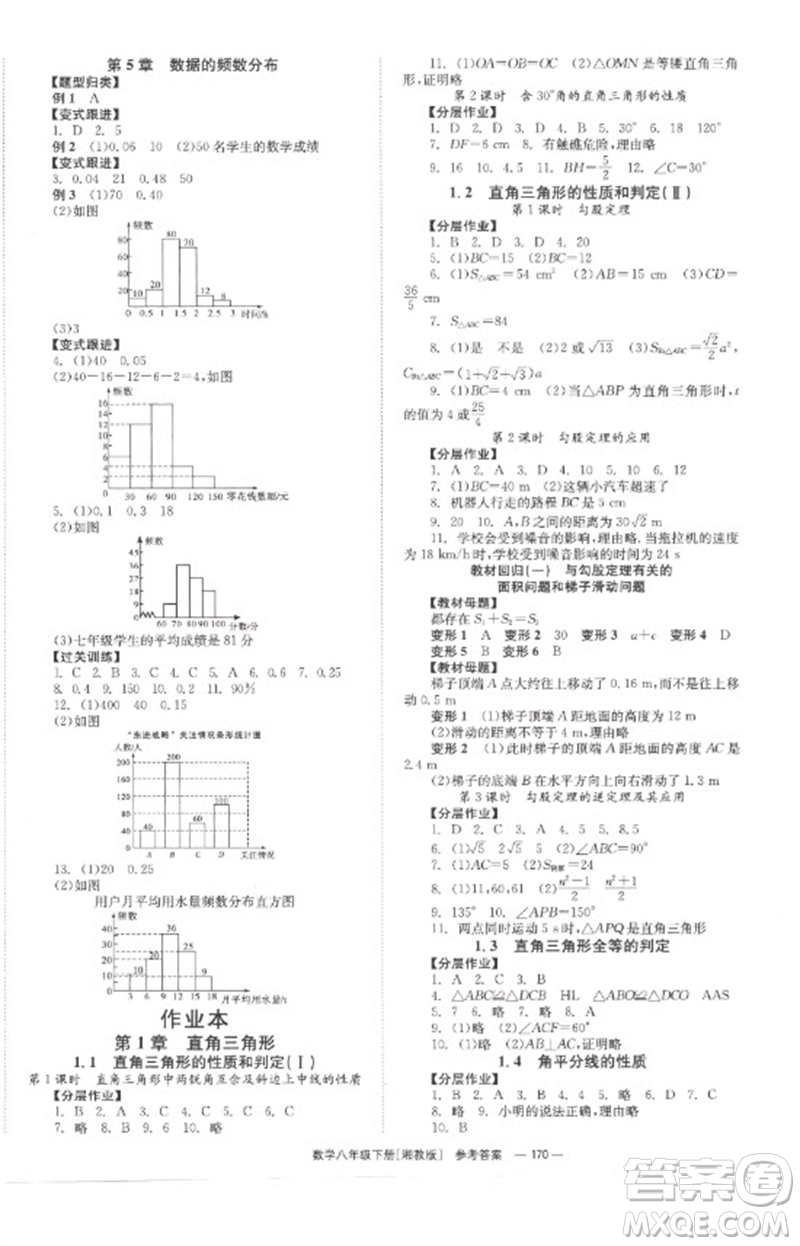 湖南教育出版社2023全效學(xué)習(xí)同步學(xué)練測八年級數(shù)學(xué)下冊湘教版參考答案