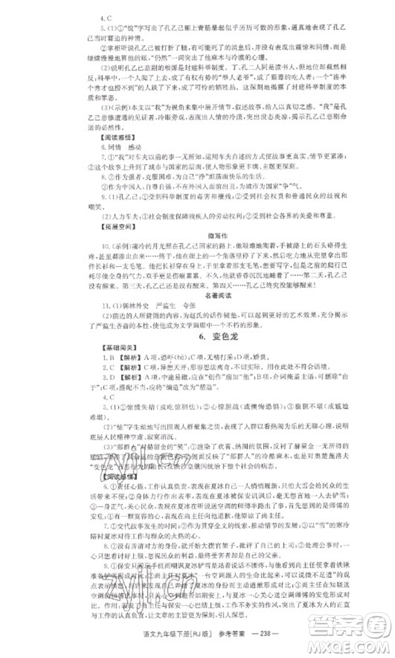 湖南教育出版社2023全效學(xué)習(xí)同步學(xué)練測九年級語文下冊人教版參考答案
