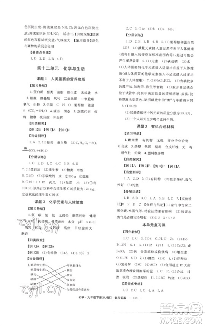 湖南教育出版社2023全效學(xué)習(xí)同步學(xué)練測九年級化學(xué)下冊人教版參考答案