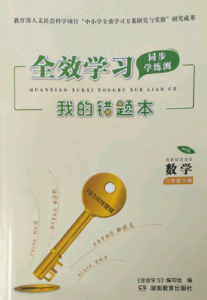湖南教育出版社2023全效學(xué)習(xí)同步學(xué)練測八年級數(shù)學(xué)下冊北師大版參考答案