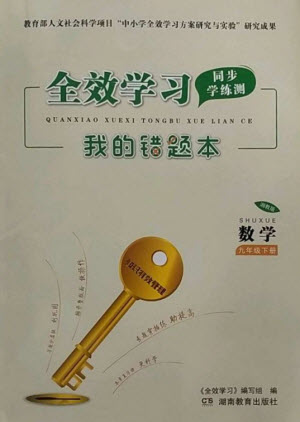 湖南教育出版社2023全效學(xué)習(xí)同步學(xué)練測(cè)九年級(jí)數(shù)學(xué)下冊(cè)湘教版參考答案