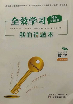 湖南教育出版社2023全效學(xué)習(xí)同步學(xué)練測八年級數(shù)學(xué)下冊湘教版參考答案