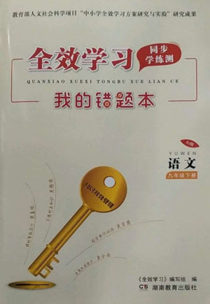 湖南教育出版社2023全效學(xué)習(xí)同步學(xué)練測九年級語文下冊人教版參考答案