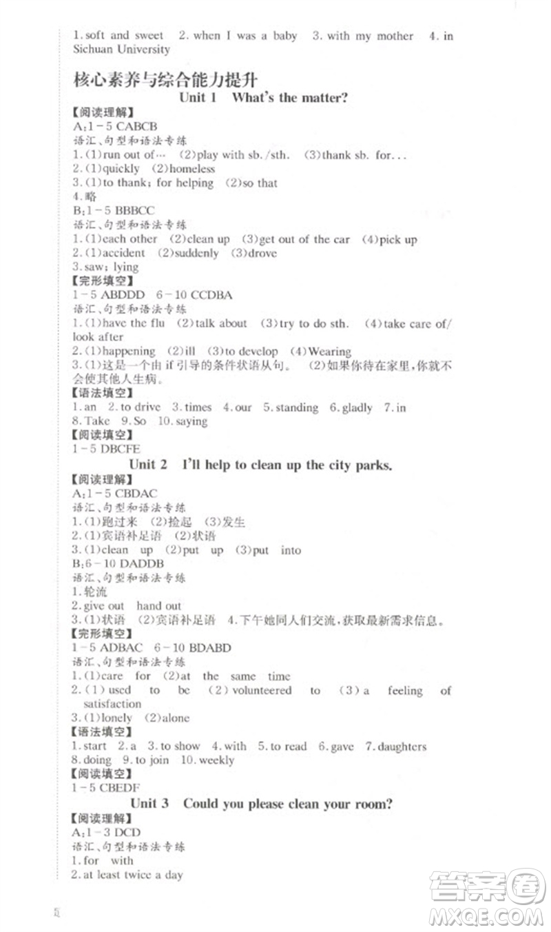 北京時(shí)代華文書(shū)局2023全效學(xué)習(xí)學(xué)業(yè)評(píng)價(jià)方案八年級(jí)英語(yǔ)下冊(cè)人教版參考答案