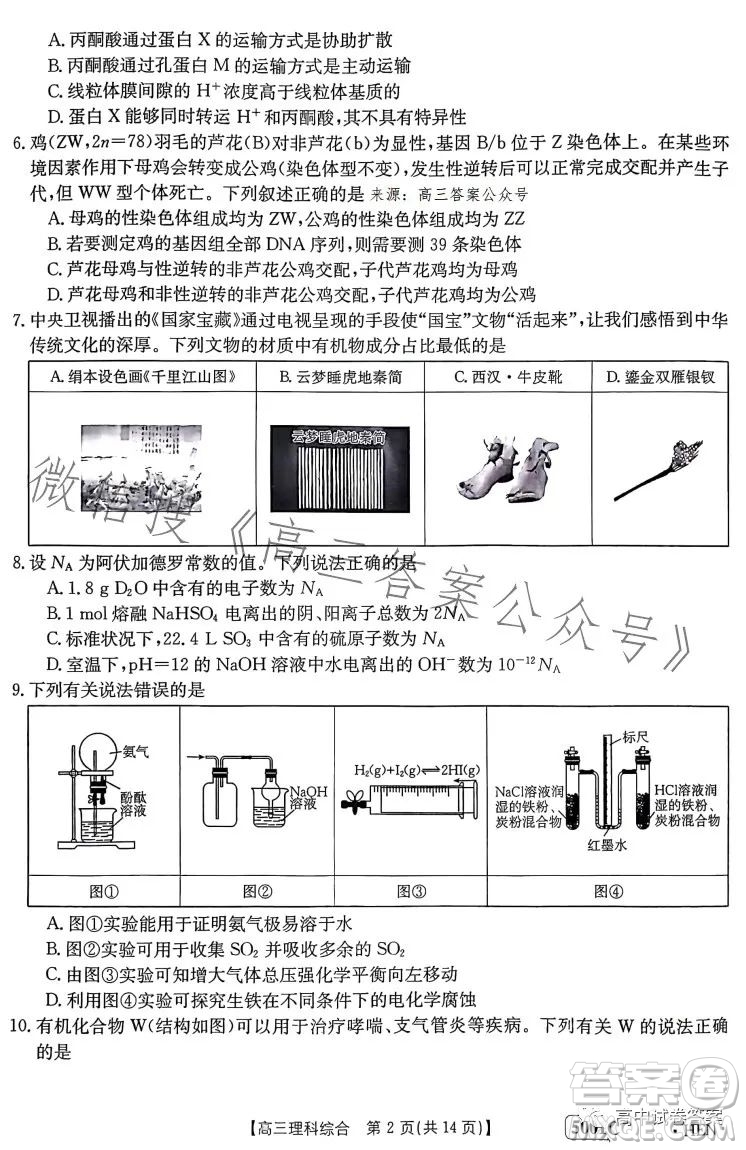 2023金太陽聯(lián)考5001CHEN高三理科綜合試卷答案