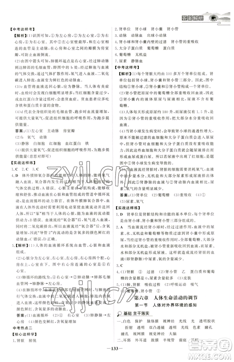 河北少年兒童出版社2023世紀(jì)金榜金榜學(xué)案七年級(jí)下冊(cè)生物人教版河南專(zhuān)版參考答案