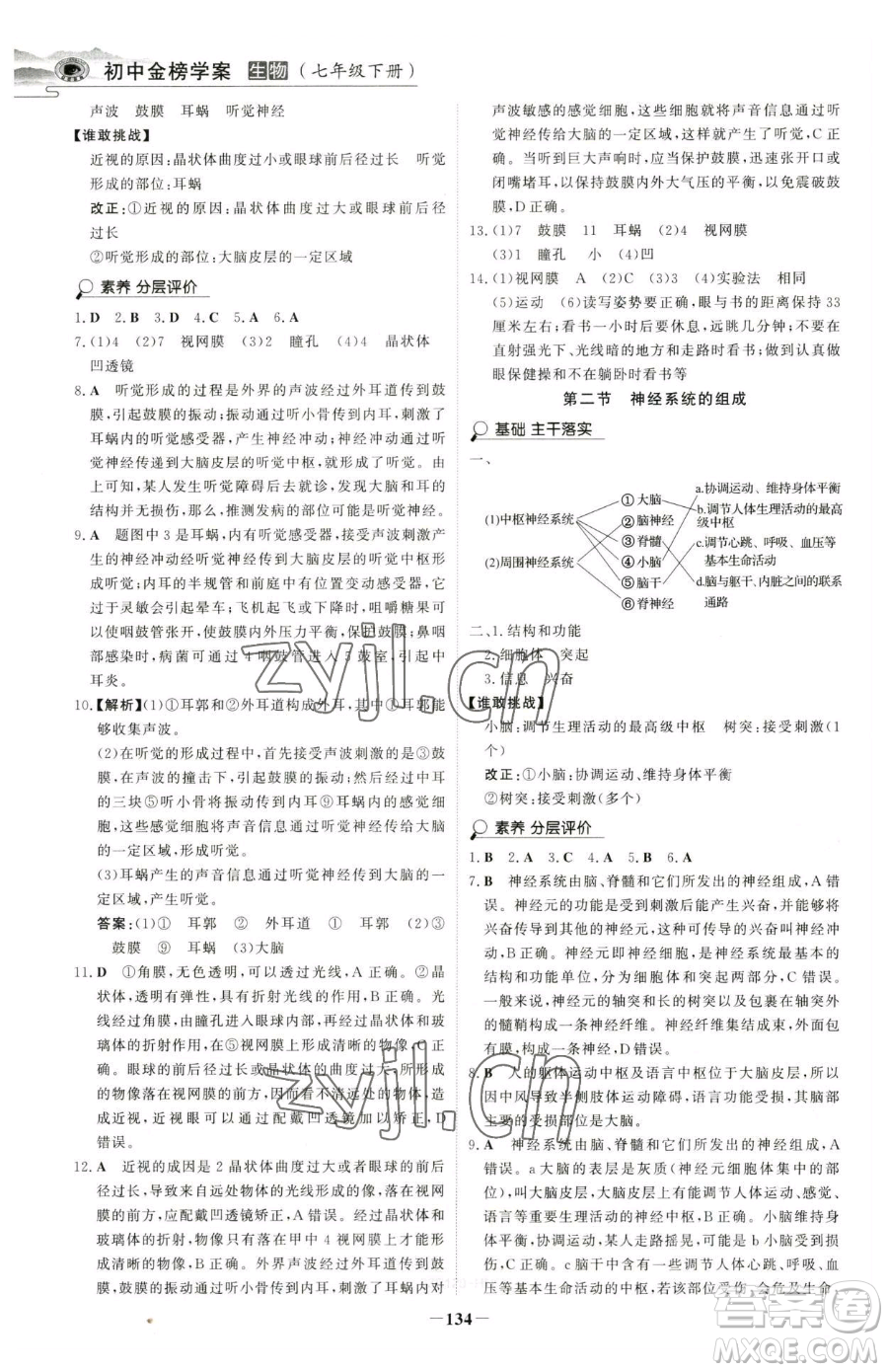 河北少年兒童出版社2023世紀(jì)金榜金榜學(xué)案七年級(jí)下冊(cè)生物人教版河南專(zhuān)版參考答案