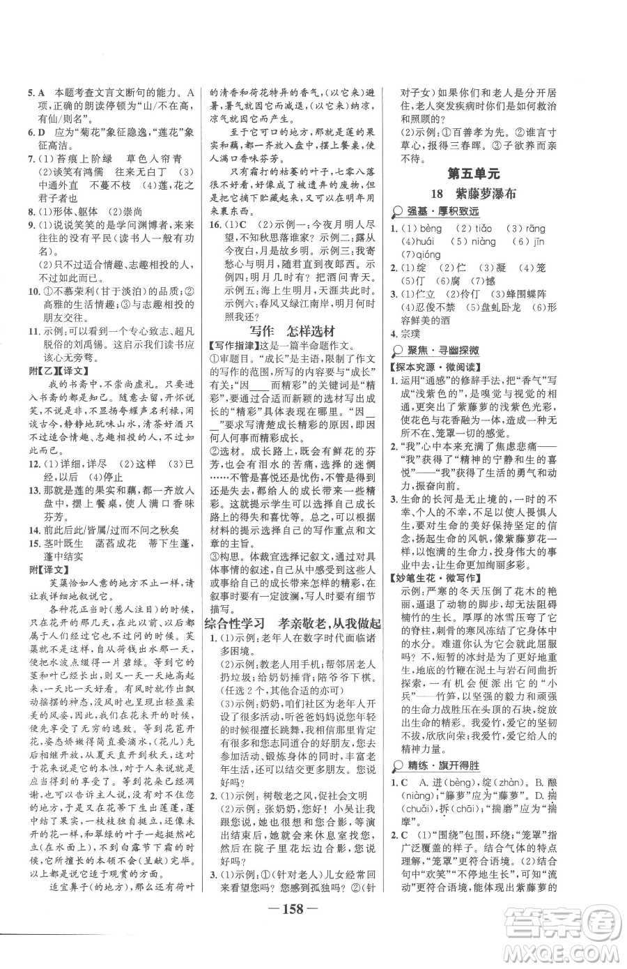 河北少年兒童出版社2023世紀(jì)金榜金榜學(xué)案七年級(jí)下冊(cè)語(yǔ)文部編版參考答案
