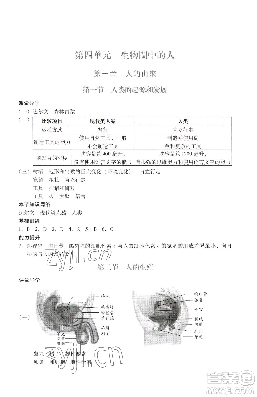 廣州出版社2023陽(yáng)光學(xué)業(yè)評(píng)價(jià)七年級(jí)下冊(cè)生物人教版參考答案