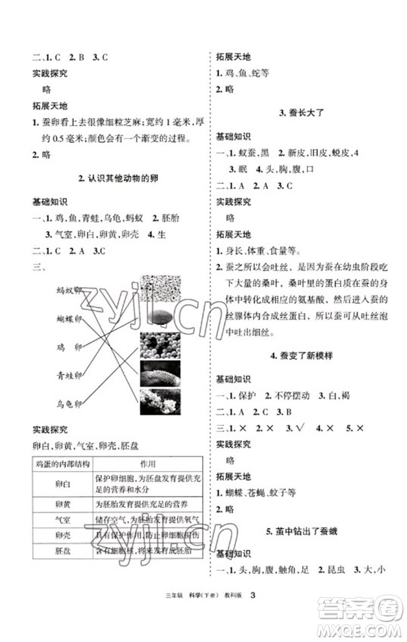 寧夏人民教育出版社2023學(xué)習(xí)之友三年級(jí)科學(xué)下冊教科版參考答案