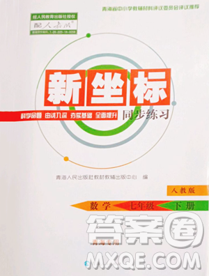 青海人民出版社2023新坐標(biāo)同步練習(xí)七年級(jí)下冊(cè)數(shù)學(xué)人教版青海專(zhuān)用參考答案