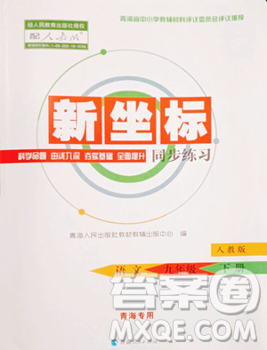 青海人民出版社2023新坐標同步練習九年級下冊語文人教版青海專用參考答案