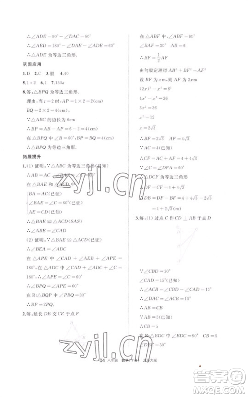 寧夏人民教育出版社2023學(xué)習(xí)之友八年級數(shù)學(xué)下冊北師大版參考答案