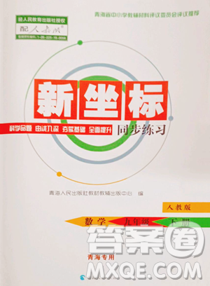 青海人民出版社2023新坐標同步練習九年級下冊數(shù)學人教版青海專用參考答案