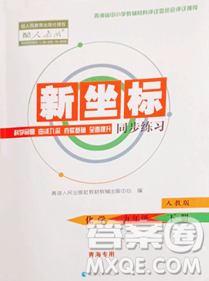 青海人民出版社2023新坐標(biāo)同步練習(xí)九年級(jí)下冊化學(xué)人教版青海專用參考答案