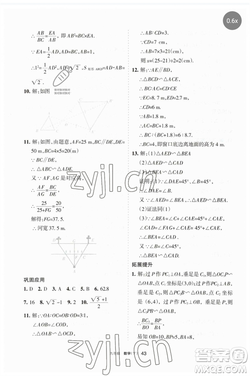 寧夏人民教育出版社2023學(xué)習(xí)之友九年級(jí)數(shù)學(xué)下冊(cè)人教版參考答案