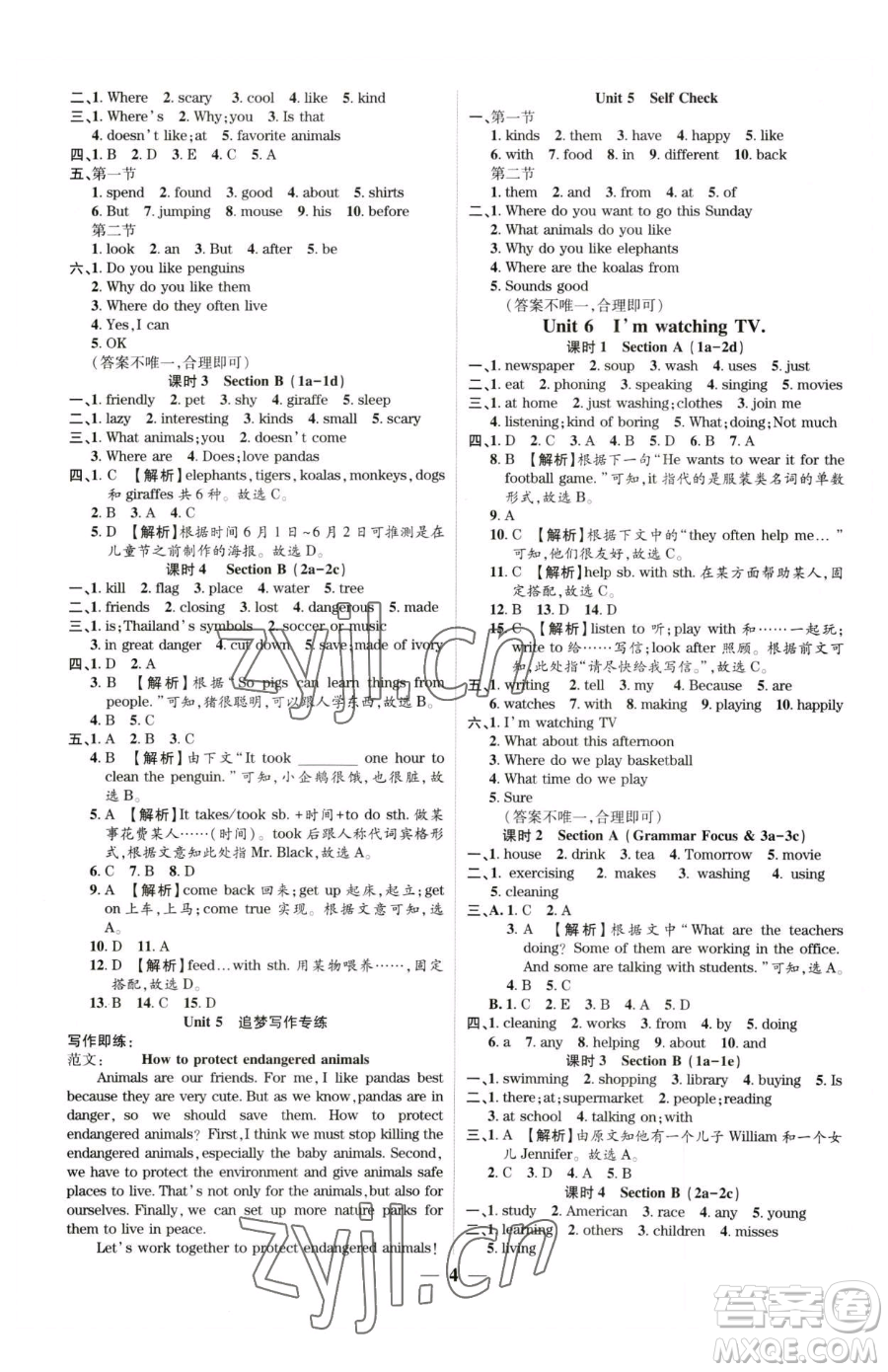 天津科學(xué)技術(shù)出版社2023追夢(mèng)之旅大先生七年級(jí)下冊(cè)英語(yǔ)人教版河南專(zhuān)版參考答案