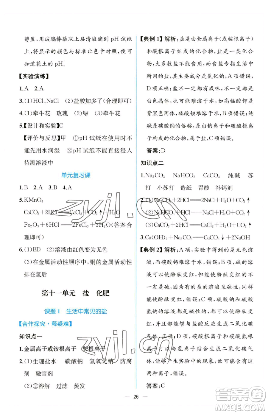 人民教育出版社2023同步解析與測評九年級下冊化學(xué)人教版云南專版參考答案