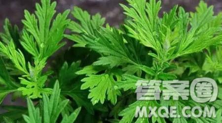 我擁有___的美德為題作文600字 關于我擁有___的美德為題的作文600字
