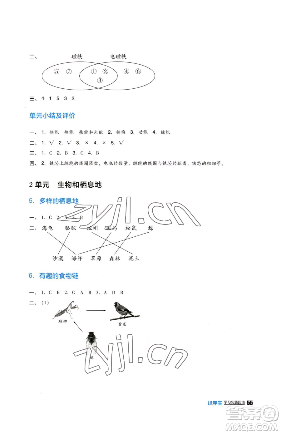 四川教育出版社2023新課標小學(xué)生學(xué)習(xí)實踐園地六年級下冊科學(xué)蘇教版參考答案