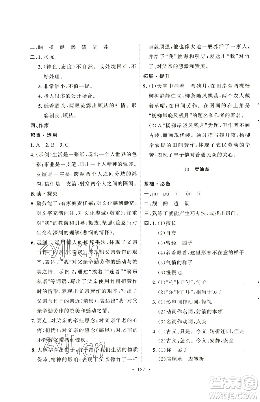 陜西人民出版社2023實(shí)驗(yàn)教材新學(xué)案七年級(jí)下冊(cè)語文人教版參考答案