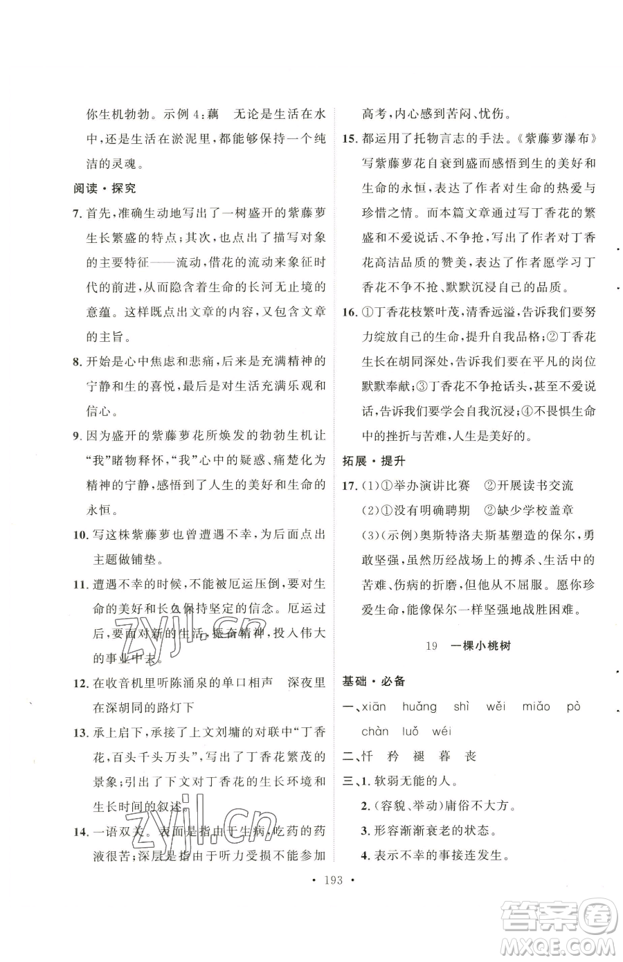 陜西人民出版社2023實(shí)驗(yàn)教材新學(xué)案七年級(jí)下冊(cè)語文人教版參考答案