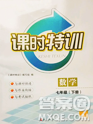浙江人民出版社2023課時(shí)特訓(xùn)七年級(jí)下冊(cè)數(shù)學(xué)浙教版參考答案