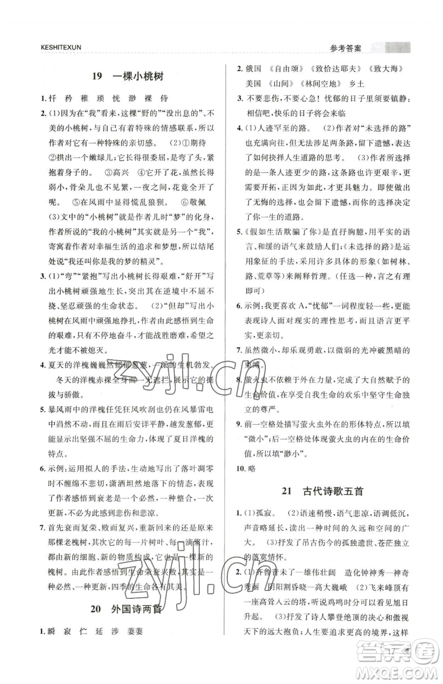 浙江人民出版社2023課時(shí)特訓(xùn)七年級(jí)下冊語文人教版參考答案