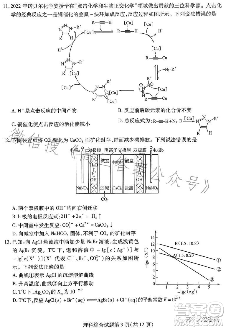 哈師大附中2023年高三第四次模擬考試?yán)砜凭C合試卷答案
